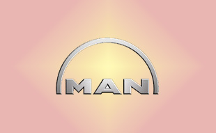 ✓ MAN 81.52170.6159 Запчасти МАН (MAN) 